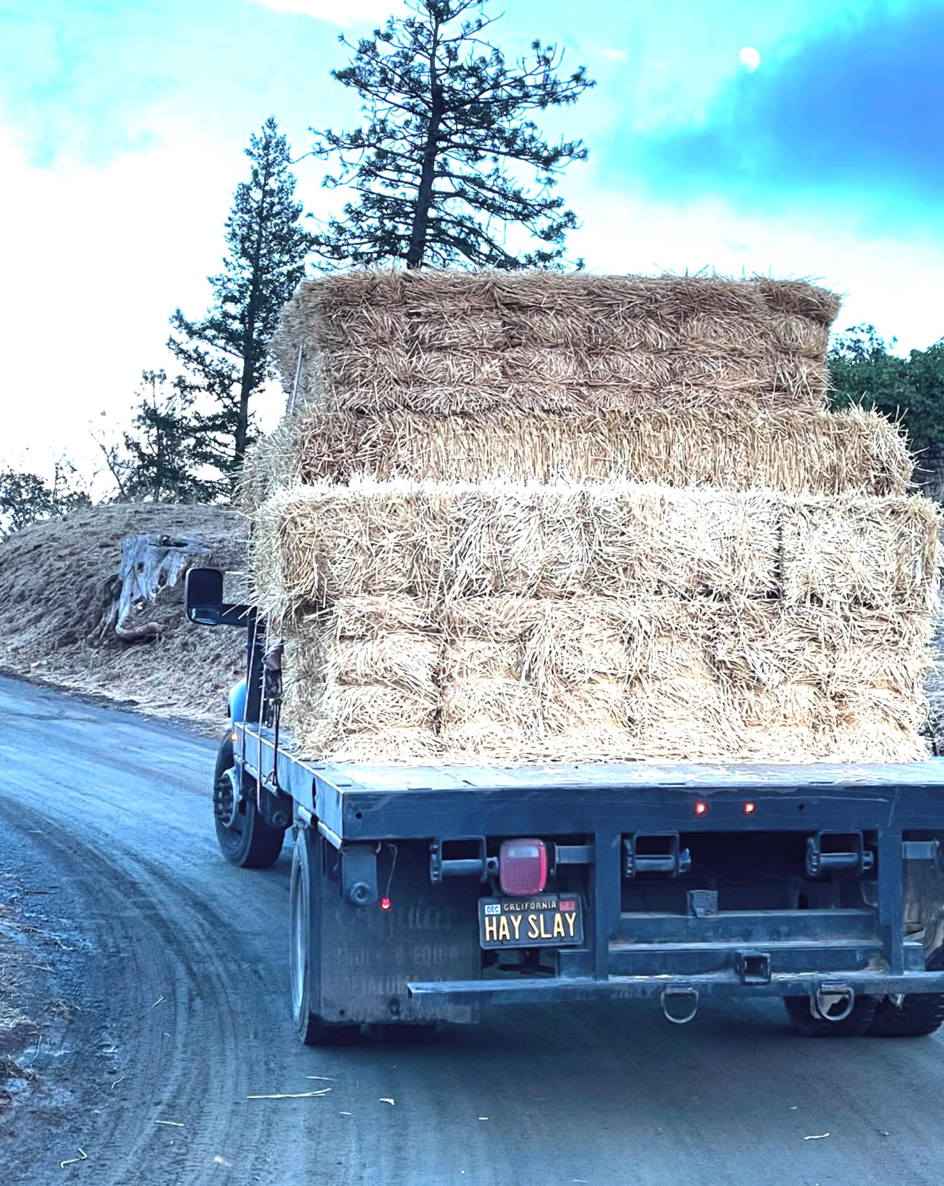 Hay bales on the truck.