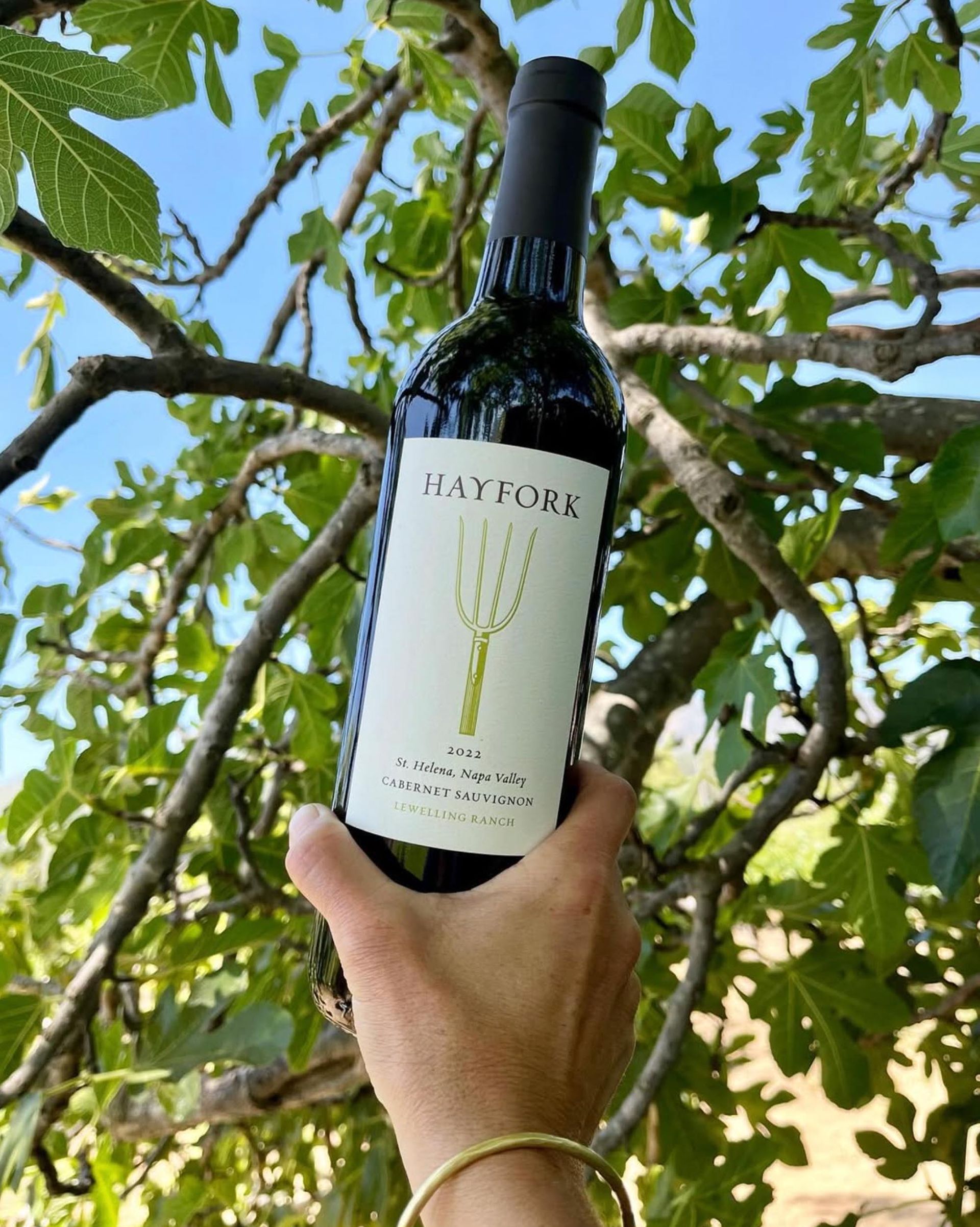 Hayfork Wine bottle.